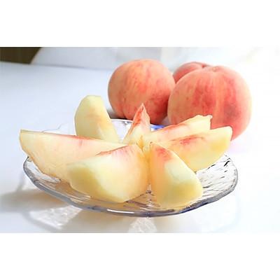 ふるさと納税 須賀川市 阿部農縁 福島県の桃と梨 計3kg ふくしまの完熟くだもの