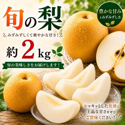 ふるさと納税 人吉市 旬の梨 約2kg(人吉市)