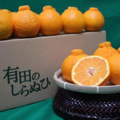 ふるさと納税 かつらぎ町 [訳あり・ご家庭用]和歌山産 不知火 約4kg[まごころ手選別][2027年2月上旬より順次発送]