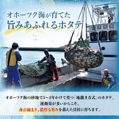 ふるさと納税 網走市 北海道オホーツク海産ホタテ玉冷 500g |  | 02