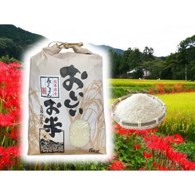 ふるさと納税 山鹿市 [先行予約]熊本県産お米5kg箱(5kg×1袋)