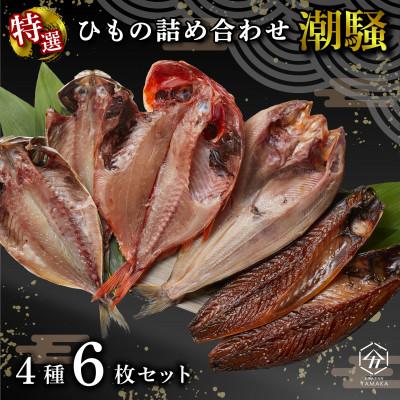 ふるさと納税 沼津市 干物 厳選セット 4種 6枚 潮騒