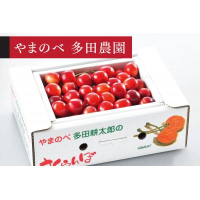 ふるさと納税 山辺町 [先行受付]2026年 山形県産 「真夏のルビー紅姫」 バラ詰 500g