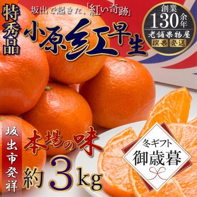 ふるさと納税 坂出市 [2026年12月上旬より順次発送][御歳暮ギフト/熨斗対応]特秀品!小原紅早生みかん 約3kg