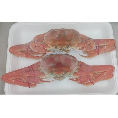 ふるさと納税 阪南市 ボイル「姿ずわい蟹」2尾(400g〜460g)