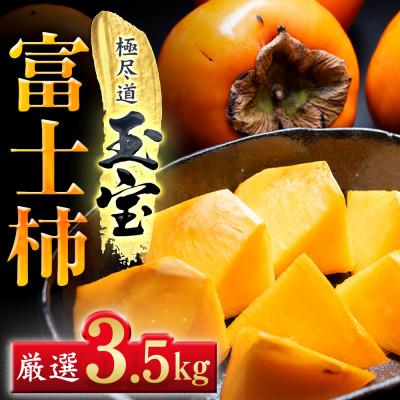 ふるさと納税 八幡浜市 [堂々たる大玉]ずっしり濃密[富士柿]3.5kg 愛媛県産[64-96]