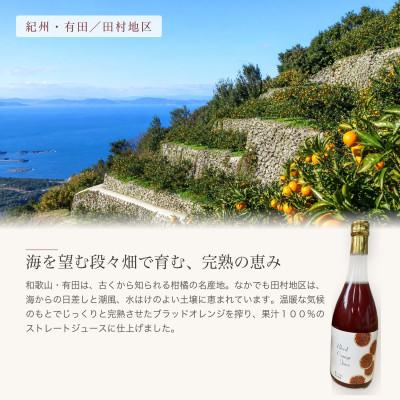 ふるさと納税 湯浅町 ブラッドオレンジ果汁100%ジュース　720ml×2本【紀州有田田村産】 |  | 02
