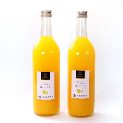 ふるさと納税 かつらぎ町 無添加はっさくジュース720ml×2本[100%ジュース・ストレートジュース][柑橘・果汁]