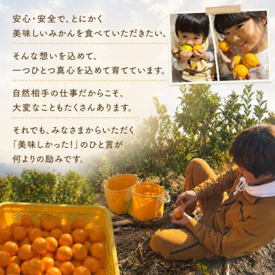 ふるさと納税 日高川町 香りが弾ける!濃厚な甘みの熟成ポンカン　サイズ混合約10kg/和歌山県日高川町【マルツネ農園】 |  | 03
