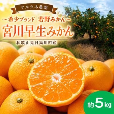 ふるさと納税 日高川町 甘い!若野みかん「宮川早生」サイズ混合3S〜L 約5kg/和歌山県日高川町