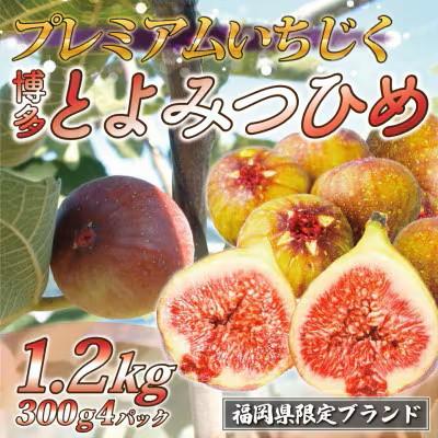 ふるさと納税 芦屋町 2026年8月上旬〜10月下旬順次発送 福岡県ブランドいちじく とよみつひめ 300g×4P 芦屋町