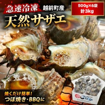 ふるさと納税 越前町 【越前海岸・美味直送シリーズ】急速冷凍サザエ　500g×6パック | 