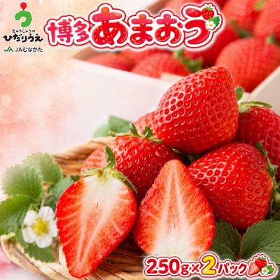 ふるさと納税 芦屋町 [2026年12月上旬〜27年1月下旬発送予定]博多あまおう(冬)250g~270g×2P(芦屋町)