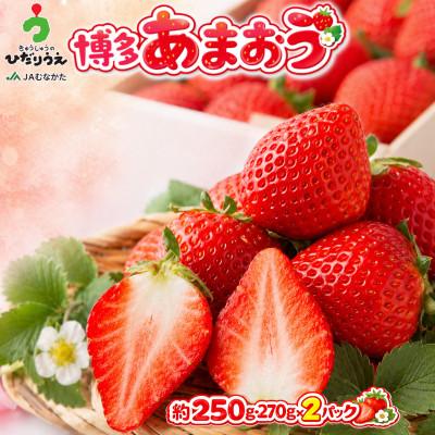 ふるさと納税 芦屋町 [2027年2月上旬〜4月下旬発送予定]博多あまおう(春) 250g-270g×2パック(芦屋町)