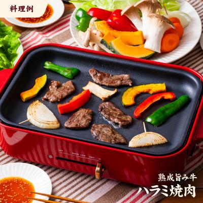 ふるさと納税 松山市 熟成旨み牛やわらかハラミカット 3kg |  | 03