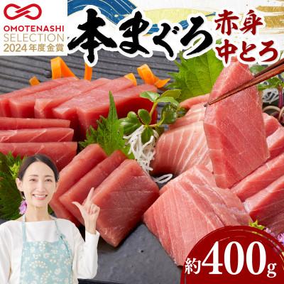 ふるさと納税 宿毛市 本まぐろ赤身・中とろ2柵セット