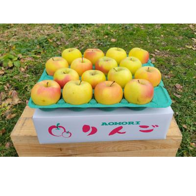 ふるさと納税 青森市 [訳あり]青森県産りんご「家庭用ぐんま名月家庭用」約5kg 産地直送!
