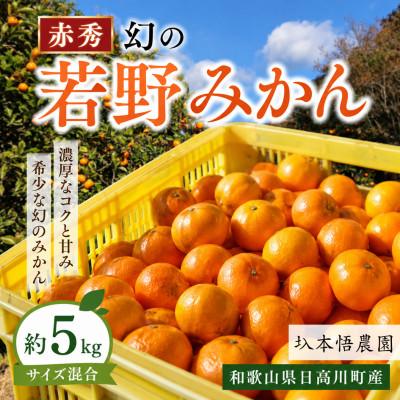 ふるさと納税 日高川町 [秀品]樹上完熟 幻の「若野みかん」(温州みかん)サイズ混合約5kg/和歌山県日高川町/圦本悟農園