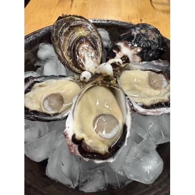 ふるさと納税 太良町 海男の殻付き牡蠣 20個[PE1]