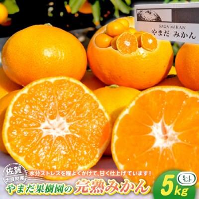 ふるさと納税 太良町 やまだ果樹園の完熟みかん 約5kg[L32]