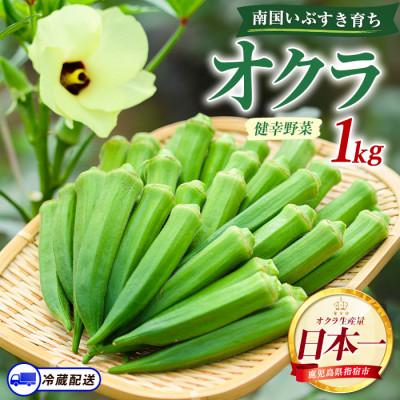 ふるさと納税 指宿市 指宿(いぶすき)産オクラ1kg (IB130-004)