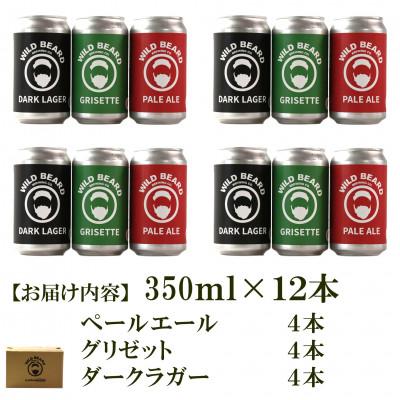 ふるさと納税 三股町 三股町の水で造るクラフトビール飲み比べ 3種 350ml×各4本 全12本【MI746】 |  | 02