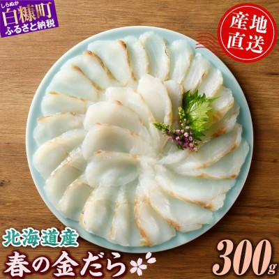 ふるさと納税 白糠町 北海道産 春の金だら 真鱈 ブロック 300g