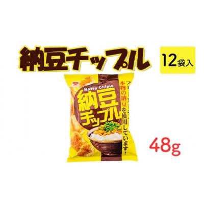 ふるさと納税 常総市 納豆チップル 48g×12袋 駄菓子スナック