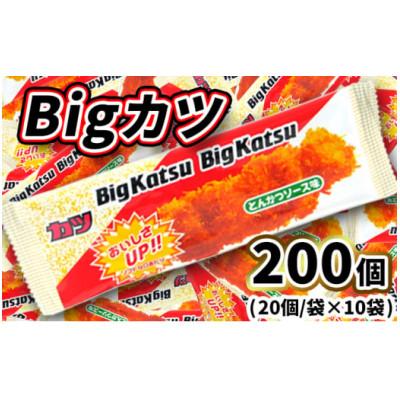 ふるさと納税 常総市 Bigカツ 20枚入×10袋 駄菓子