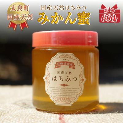 ふるさと納税 太良町 太良町産はちみつ『みかん蜜』600g(太良町)[N225×1]