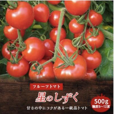 ふるさと納税 阿波市 [500g]フルーツトマト「星のしずく」