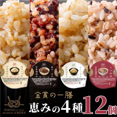 ふるさと納税 松原市 ご飯パック 金賞健康米 恵みの4種セット(玄米・雑穀) 12個