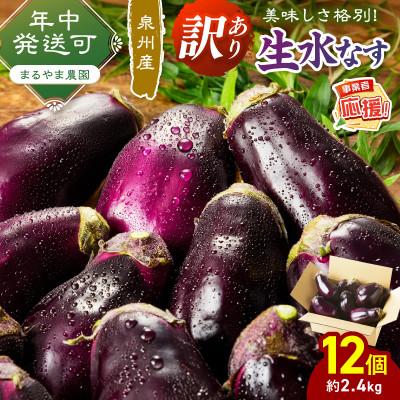 ふるさと納税 泉南市 まるやま農園 泉州生水なすB級訳あり品 ふるさと納税3.0