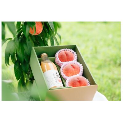 ふるさと納税 山梨市 桃尽くしセット〜桃3個と桃100%ジュース1本〜