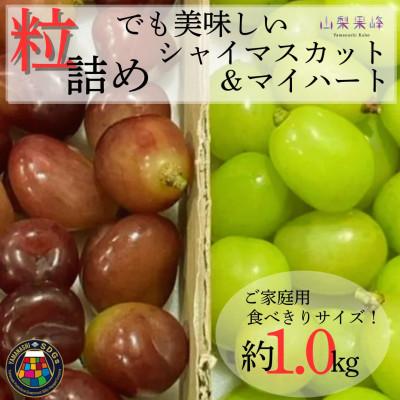 ふるさと納税 山梨市 [2026年度発送]SDGs粒シャインマスカット&amp;マイハート1kg相当
