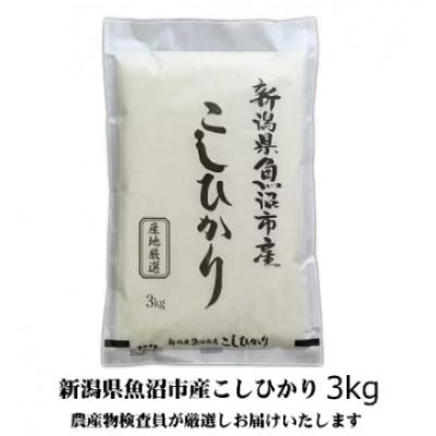 ふるさと納税 魚沼市 [令和8年産先行受付]農産物検査員お奨め、魚沼産こしひかり(精米)3kg