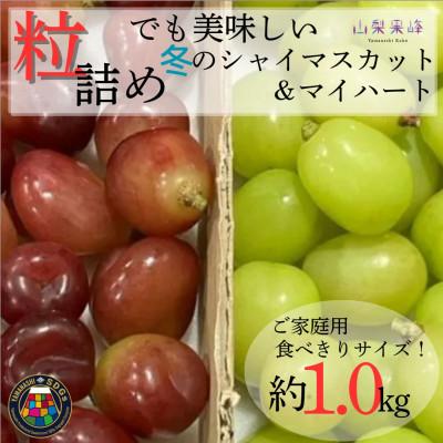 ふるさと納税 山梨市 ★2026年度発送 SDGs 粒詰め 冬のシャインマスカット&amp;マイハート 1kg相当