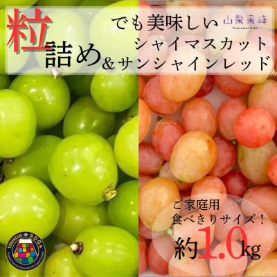 ふるさと納税 山梨市 ★2026年度発送 SDGs 粒シャイン&amp;サンシャインレッド 1kg相当