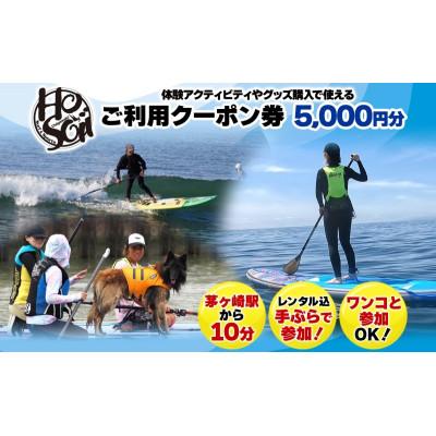 ふるさと納税 茅ヶ崎市 HosoiiSurf&amp;Sports クーポン券 5000円分 サーフィン SUP体験