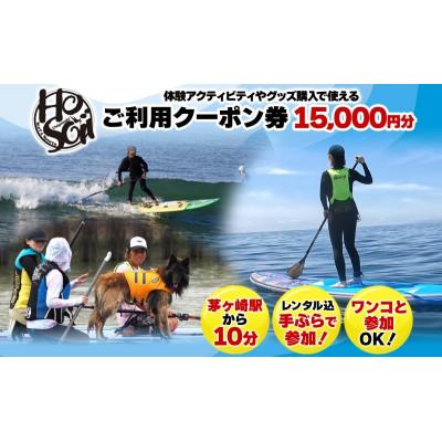 ふるさと納税 茅ヶ崎市 HosoiiSurf&amp;Sports クーポン券 15000円分 サーフィン SUP体験