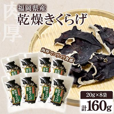 ふるさと納税 桂川町 福岡県桂川町産 乾燥きくらげ 計160g(20g×8袋)(桂川町)