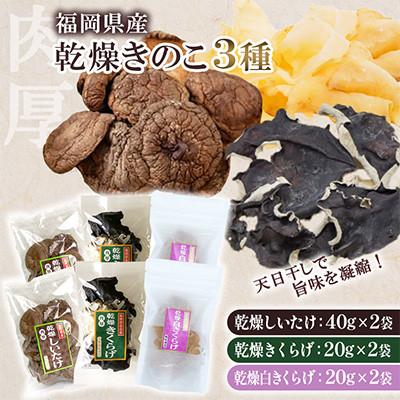 ふるさと納税 桂川町 福岡県桂川町産 乾燥きのこ3種×2セット(しいたけ各40g/きくらげ・白きくらげ各20g)(桂川町)
