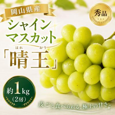 ふるさと納税 高梁市 [2026年発送分 先行受付]岡山県産シャインマスカット「晴王」 秀品 1kg(2房)