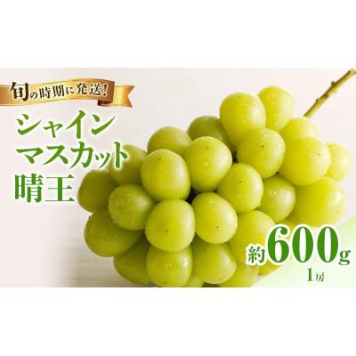 ふるさと納税 高梁市 [2026年発送分 先行受付]岡山県産シャインマスカット「晴王」秀品 化粧箱入 1房(約600g)