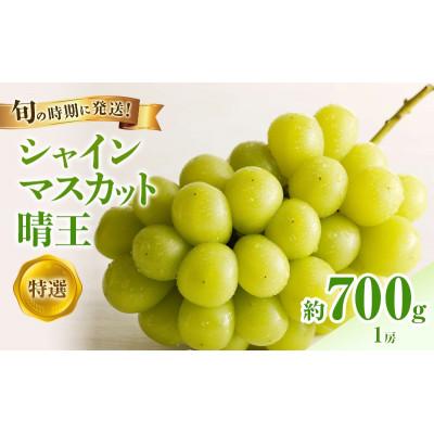 ふるさと納税 高梁市 [2026年発送分 先行受付]岡山県産シャインマスカット「晴王」 特選 化粧箱入 1房(約700g)