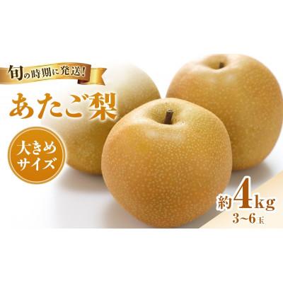 ふるさと納税 高梁市 [2026年発送分 先行受付]岡山名産 あたご梨 秀品 約4kg(3〜6玉)