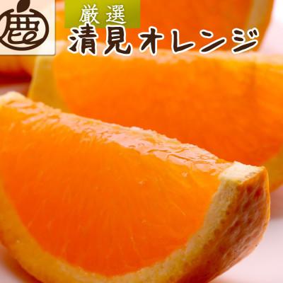 ふるさと納税 有田川町 厳選 清見オレンジ2.5kg+250g(傷み補償分)[光センサー食頃出荷]