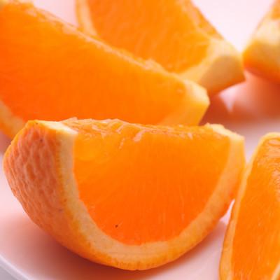 ふるさと納税 有田川町 家庭用 清見オレンジ5kg+250g(傷み補償分)[光センサー食頃出荷][訳あり]