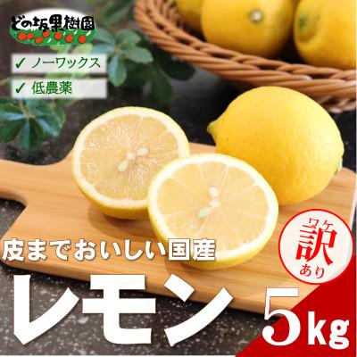 ふるさと納税 日高町 [ノーワックス]訳あり・ご家庭用 国産レモン 5kg (サイズおまかせ)[2027年2月以降発送]