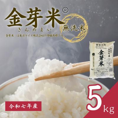 ふるさと納税 美浜町 【 金芽米 】愛知県 美浜町産 にじのきらめき 5kg 無洗米 | 